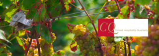 Special Issue - Cornell Hospitality Quarterly - KEDGE